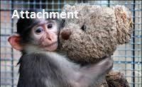 attachment-1.jpg